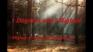 1 Dogman and 3 Bigfoot (Dogman Encounters Episode 349)