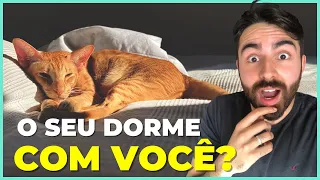 O REAL MOTIVO Do Seu Gato DORMIR Com Você!