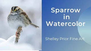 Sparrow in Watercolor