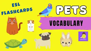 Pets Vocabulary Flash Cards (English lessons for kids)