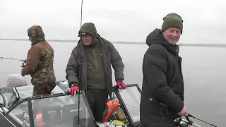 Рыбалка - отдых на Волге, Фокино 8-10.11.2023г.