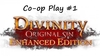 Divinity: Original Sin. EP 1 Character creation.