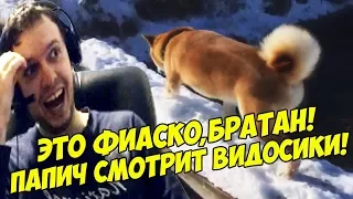 ЭТО ФИАСКО, БРАТАН! ПАПИЧ СМОТРИТ ВИДОСИКИ!