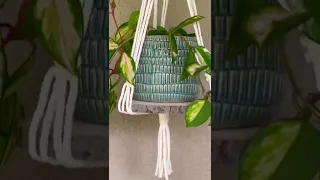 Gorgeous Macrame Plant Hanger with Wooden Base / Made in 30 Minutes / #shorts