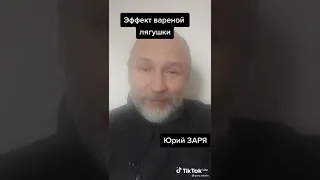 *Эффект вареной лягушки* , в котором мы находимся