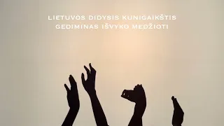 Rankų šešėlių teatro improvizacija „Gedimino sapnas“