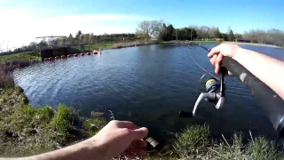 1st trout of the season 2017. London, Ontario