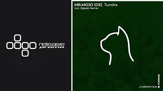 PREMIERE:  Mr. Mojo (DE) - Tundra  [PURRFECTION]