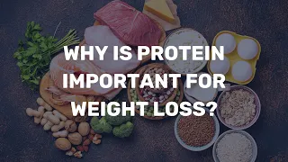 Why is protein important for weight loss?
