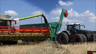 Claas-Fendt-MAN-Hawe / Rapsernte - Canola Harvest 2018