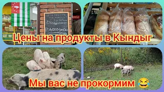 Абхазия. Обзор магазина в Кындыге. Кормим  🐖🐖🐖. Досмотрите, в конце очень смешно 😂😂4ч.#кындыг