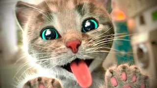 Learn with Little Kitten Adventure and School Funny Kittens Animated Cartoons for Kids Learn an Play
