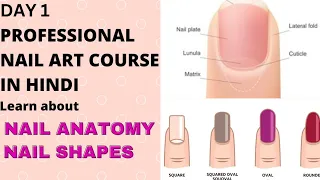 PROFESSIONAL NAIL CLASS DAY 1| Complete Online Free Nail Course|NAIL ANATOMY & NAIL SHAPES| Pratibha