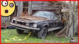 BARN FIND! A Rare 1968 Shelby GT500 Found in a Dilapidated Barn