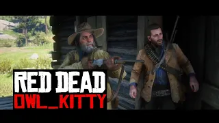 Red Dead Redemption 2: starring my cat OwlKitty