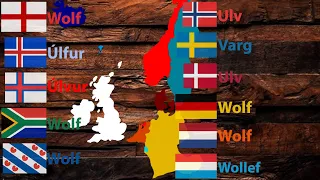 Animals - Germanic Languages Compared