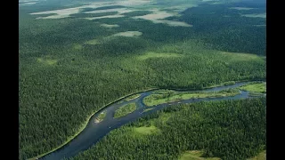 В Тюменском районе нет места для посадки леса