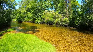 Fly Fishing the Yellow Breeches & Mountain Creek (Cumberland County PA)