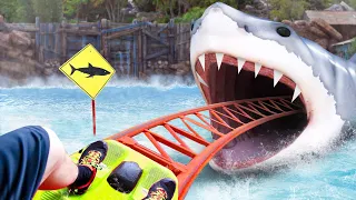 this SHARK roller coaster will give you nightmares..