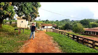 Lugar lindo Sitio N S Aparecida, plantações, criação de Porco galinha flores árvores zona rural