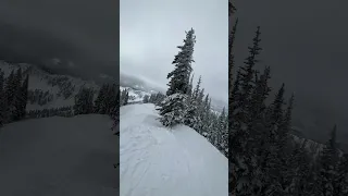 Stevens Pass - Wild Katz Lap 3 - March 26, 2023