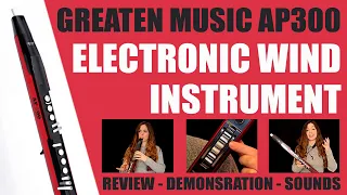 GREATEN MUSIC AP300 - Electronic Wind Instrument & MIDI Controller