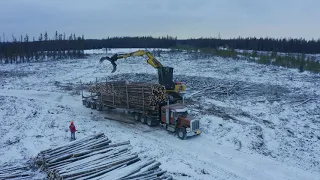 LOGGING IN ALBERTA