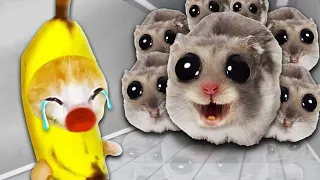 Banana Cat vs. Sad Hamster: A Tale of Fear! 🐱 Baby Banana Cat Compilation | Happy Cat Crying MEME 😿