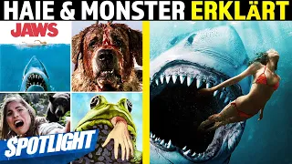 Was Haie & Monster WIRKLICH bedeuten - von JAWS bis MEG 2