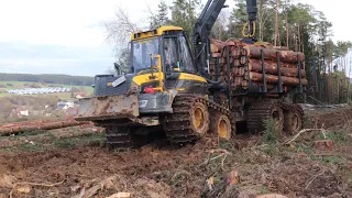 Ponsse Buffalo im Einsatz bei der Holzhauerei Zäch