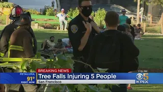 5 Hurt When Tree Comes Crashing Down At SF's Washington Square Park