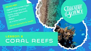 Interactive Science Lesson: Ocean Lesson 2: Coral Reefs!