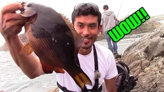 Biggest Striped Perch I've Ever Caught, Plus some Tips to make Fishing Trips more Efficient!