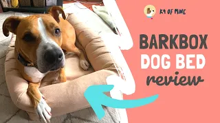 BarkBox Dog Bed Review: They Make Beds Now?