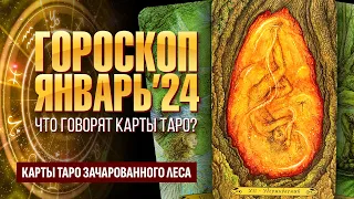 ГОРОСКОП НА ЯНВАРЬ 2024 ГОДА для всех знаков зодиака. РАСКЛАД КАРТ ТАРО.