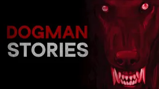 STALKER OF THE SWAMPS - 4 TRUE SCARY STORIES OF DOGMAN SIGHTINGS - What Lurks Above