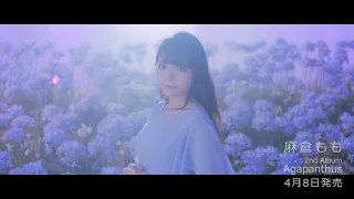 麻倉もも 『Agapanthus』Music Video(short ver.)