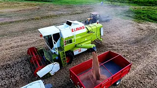 Żniwa 2018  - Pszenica / Claas Dominator 88s / GR Suchan [DJI Phantom 4]