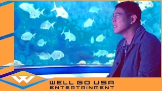 Ocean Heaven (2010) Official Trailer | Well Go USA