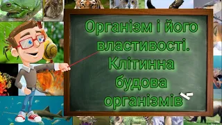 Організм і його властивості. Клітинна будова організмів. Природознавство 5 клас.