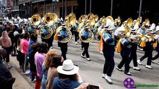 All Bands From The Mystic Krewe Of Femme Fatale Parade On St Charles and Canal Street (2022)