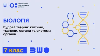 7 клас. Біологія. Будова тварин: клітини, тканини, органи та системи органів. Частина 1