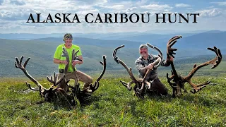 DIY CARIBOU HUNTING IN ALASKA - SIX BULLS TWO DAYS