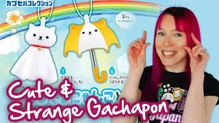 Cute & Funny Japanese Gachapon - Capsule Toys from Japan