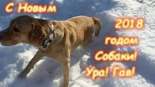 Поздравление с Новым 2018 Годом Собаки