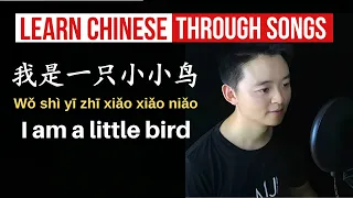 Learn Chinese through a popular song: I am a little bird Chinese song我是一只小小鸟学唱中文歌