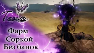 BDO Sorc Guide - #Гайд фарм соркой без банок