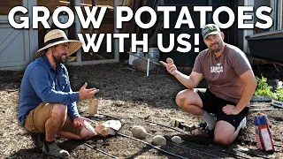 Plant Potatoes With Us: The Most Delicious Fall Crop!