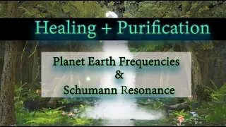 Healing + Purification ♁ Earth Frequency & Schumann Resonance 194.71Hz + 7.83Hz Binaural 432Hz