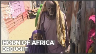 Horn of Africa drought sparks mass exodus